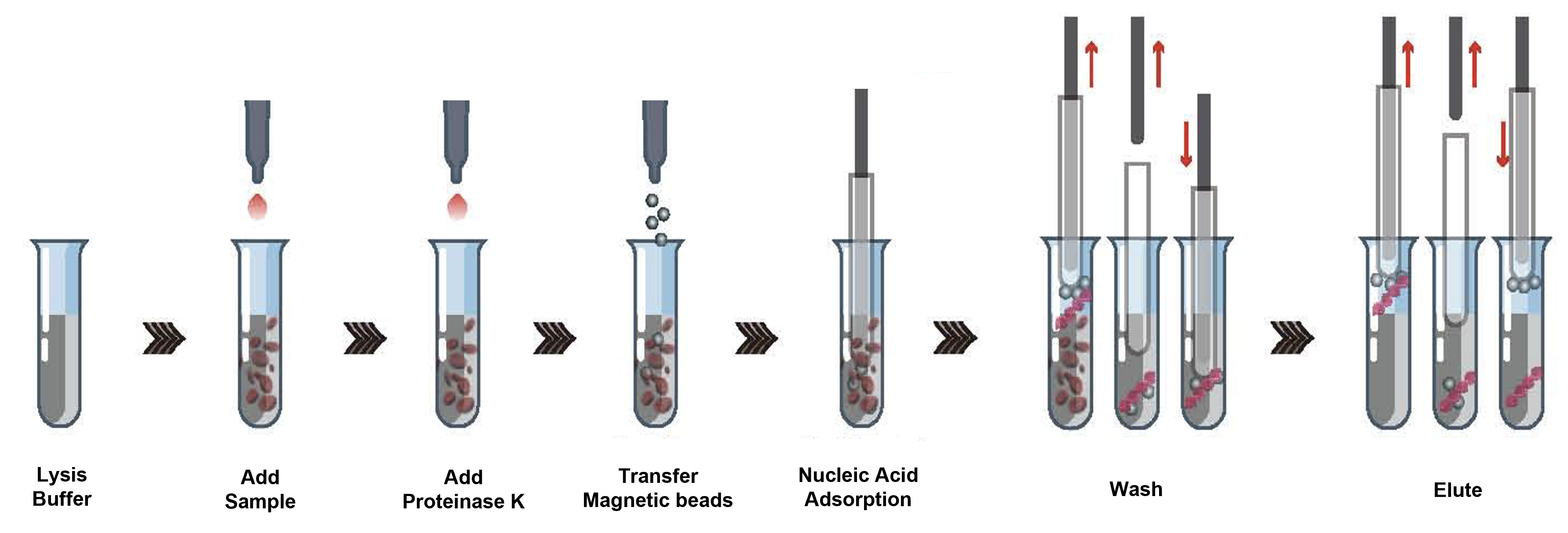 NucleoPURE Nucleic Acid Extraction System